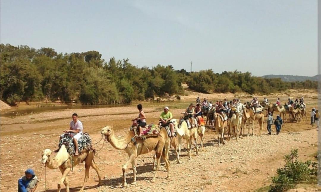 Privatunterkunft Dar Salam Agadir